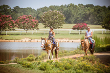 USA-Georgia-Heartland of Georgia SC Ranch